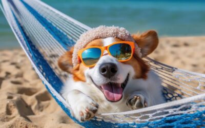 🐾 Pendant que vous explorez le monde… nous veillons sur ceux que vous aimez 🐾