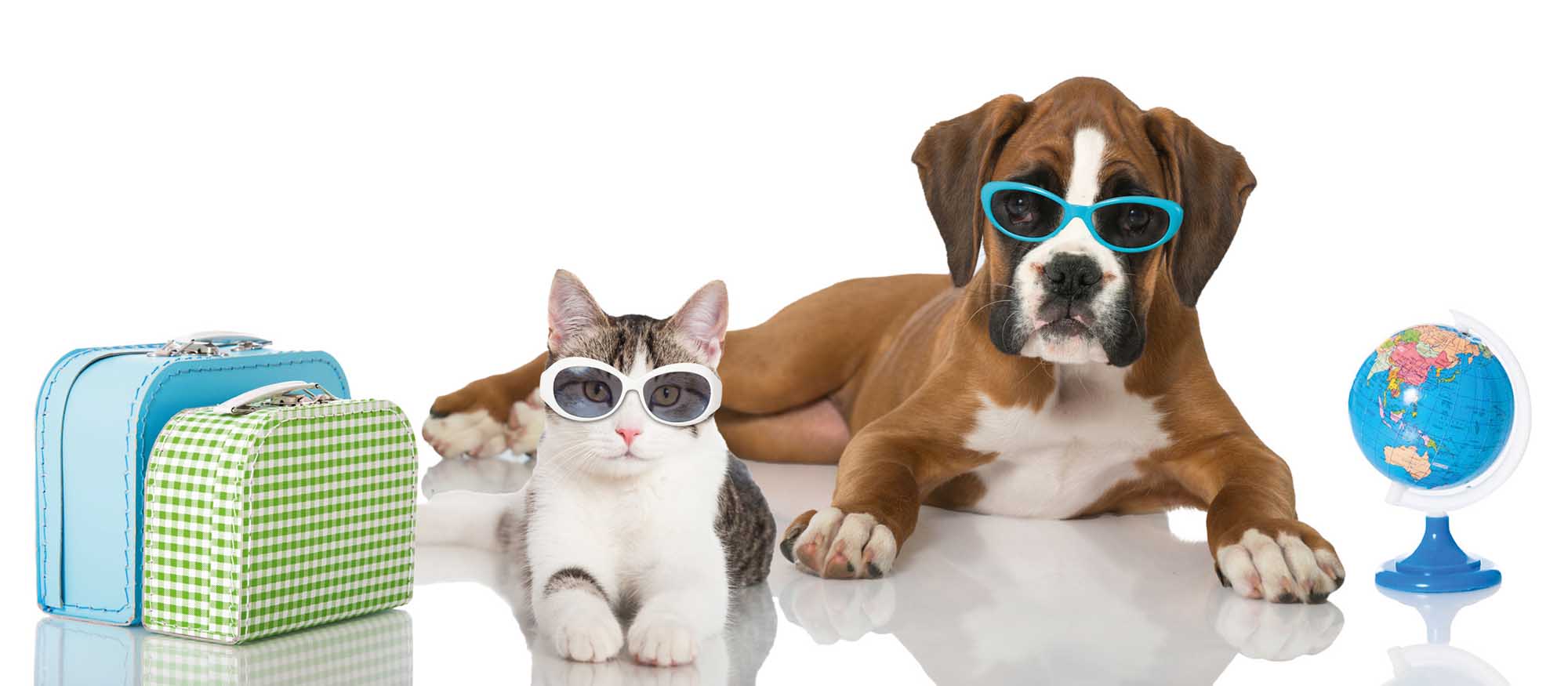 Vous planifiez une escapade ou des vacances