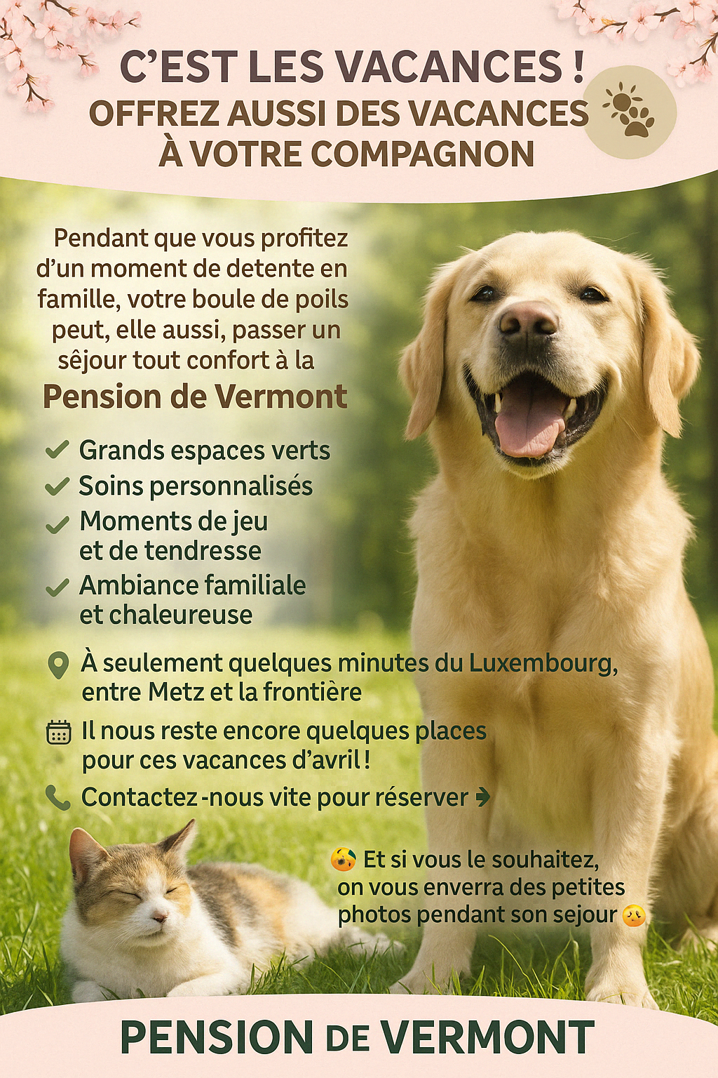 C’est les vacances ! Offrez aussi des vacances à votre compagnon